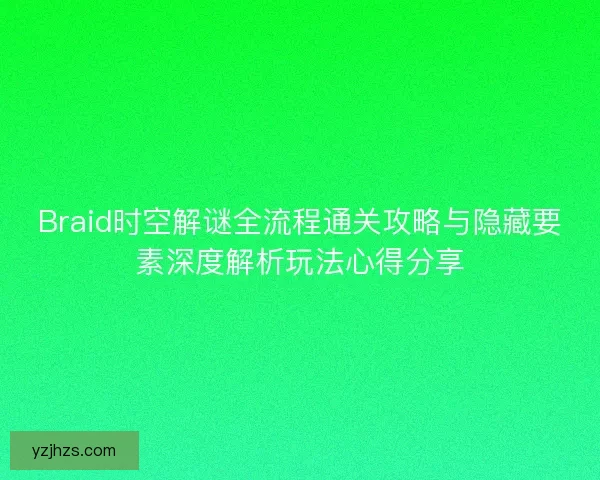 Braid时空解谜全流程通关攻略与隐藏要素深度解析玩法心得分享